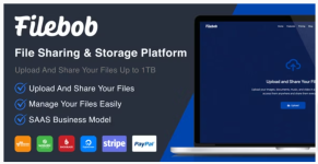 Filebob-File-Sharing-And-Storage-Platform-SAAS-Ready-by-Vironeer.png