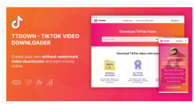 TikTok-Video-Downloader-Without-Watermark-Music-Extractor-by-codespikex.png